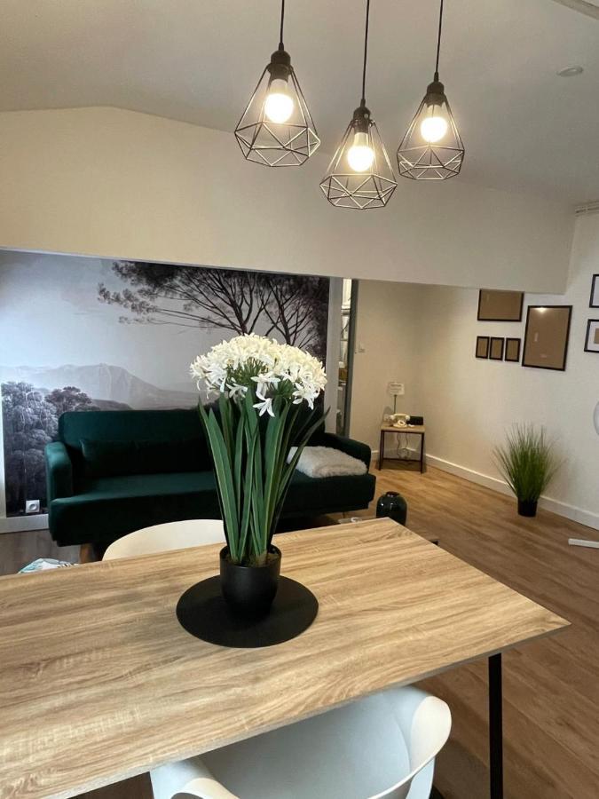 Magnifique Appartement Au Coeur De La Ville 贝济耶 外观 照片